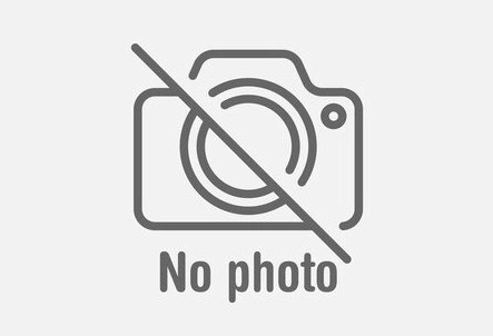 Экспресс-доставка Исключительный  Zwijnaarde BE